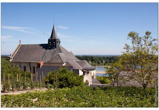 20090613-11 3054-Candes St Martin