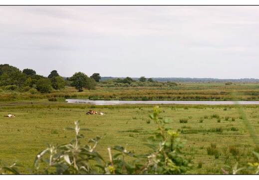 20090615-05 3433-La Briere  pano