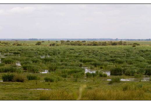 20090615-06 3436-La Briere  pano