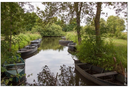 20090615-09 3556-La Briere