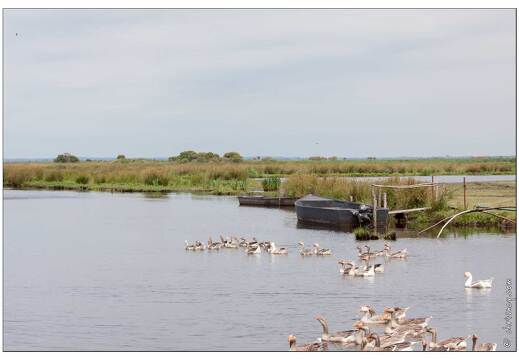 20090615-11 3471-La Briere