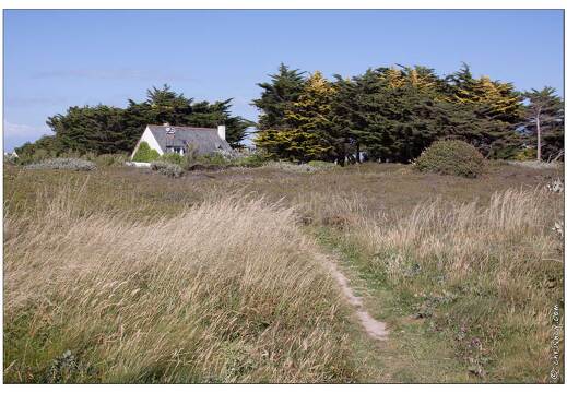 20090615-08 3743-Piriac sur mer