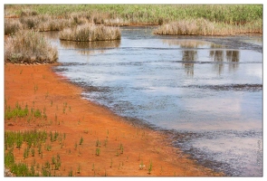 20090616-09 4094-Marais salants w