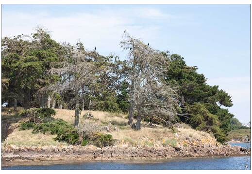 20090617-11 4484-Golfe Morbihan