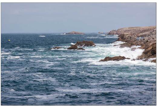 20090619-14 4811-Quiberon cote sauvage