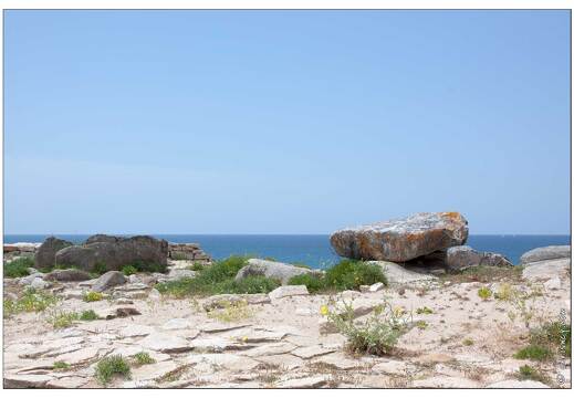 20090619-31 5010-Quiberon cote sauvage a la pointe de Percho menhir de Port blanc