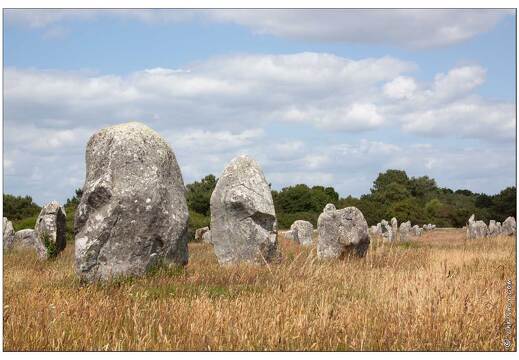 20090619-40 5150-Alignements de Carnac