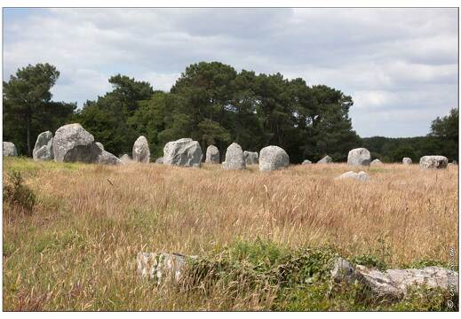 20090619-46 5173-Alignements de Carnac