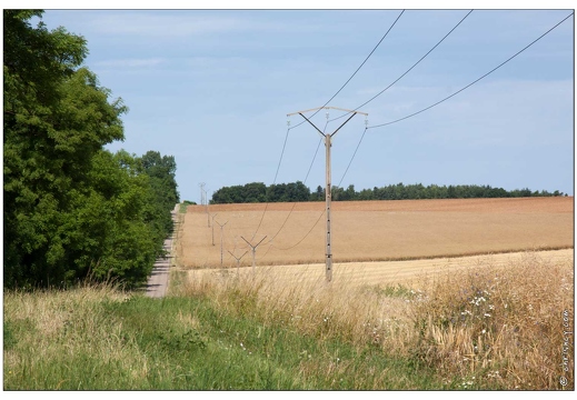 20090705-01 5538-Petite suisse lorraine voie romaine