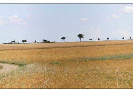 20090705-04 5554-Petite suisse lorraine pano