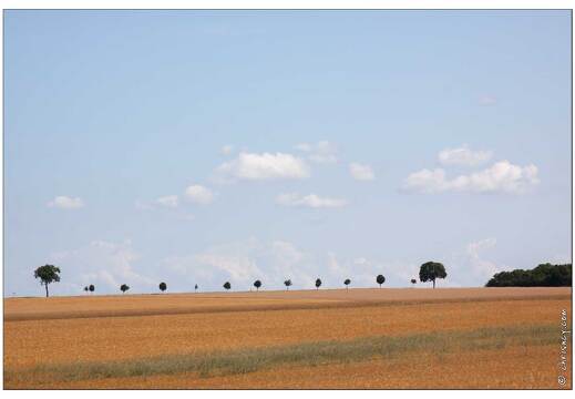 20090705-05 5555-Petite suisse lorraine