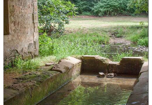 20090705-08 5588-Esch a Manonville