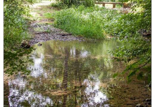 20090705-10 5606-Esch a Manonville