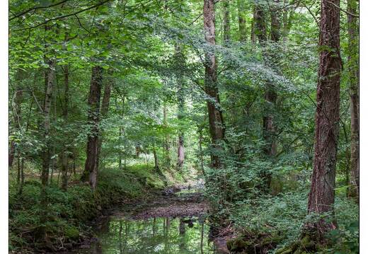 20090705-11 5609-Esch a Manonville