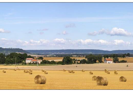 20090726-08 6301-Campagne Lorraine pano 