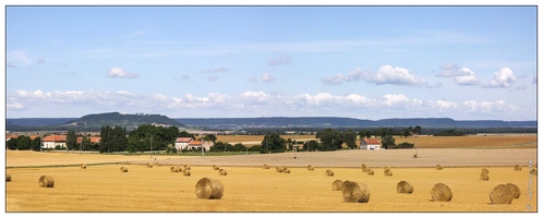 20090726-08 6301-Campagne Lorraine pano 