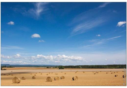 20090726-11 6316-Campagne Lorraine