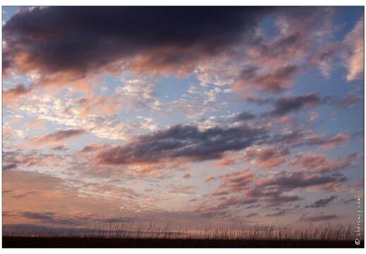 20090827-7974-Coucher de soleil