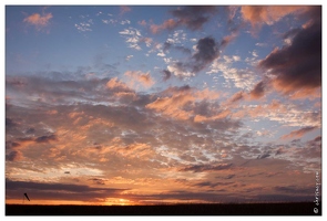 20090827-7978-Coucher de soleil