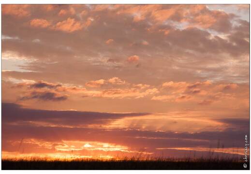 20090827-7983-Coucher de soleil