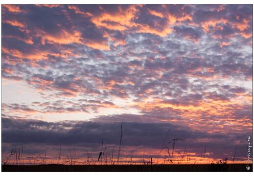 20090827-8015-Coucher de soleil