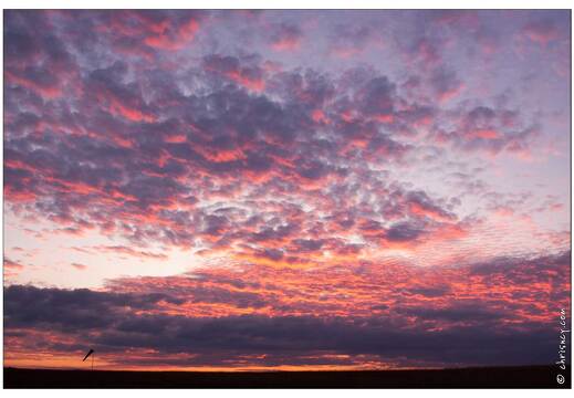 20090827-8033-Coucher de soleil