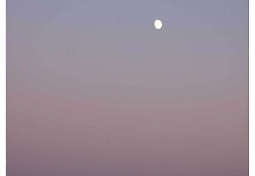 20090831-8373-Coucher Lune