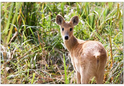 20090919-11 9326-Parc Ste Croix Hydropote