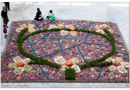 20090927-04 9641-Nancy jardin ephemere