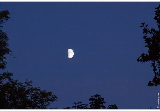 20090927-9860-Lune