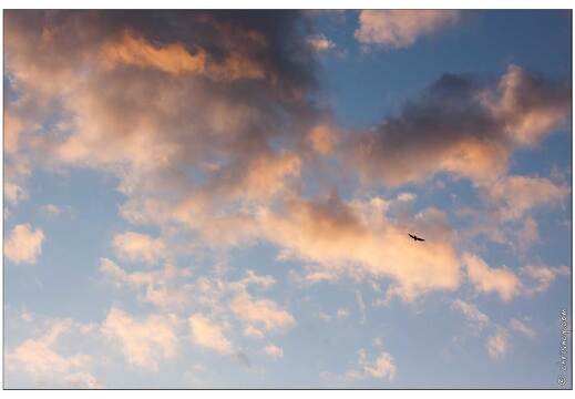 20091012-1785-Ciel et Freux