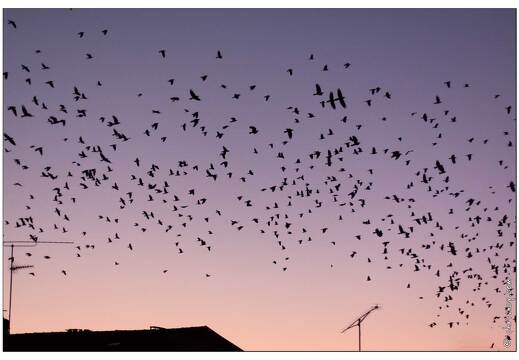 20091012-1927-Ciel et Freux