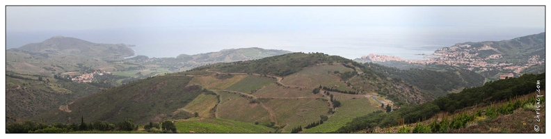 20100611-06 3620-Route de la Madeloque Le vignoble Banyuls pano