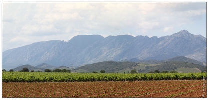 20100612-01 3636-Les Corbieres Queribus pano1 