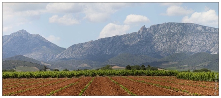 20100612-02 3636-Les Corbieres Queribus pano2 