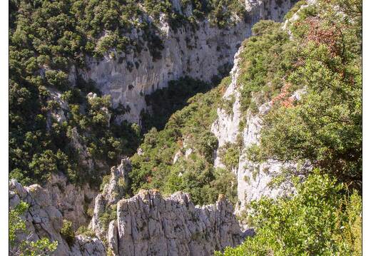 20100616-06 4230-Gorges de Galamus