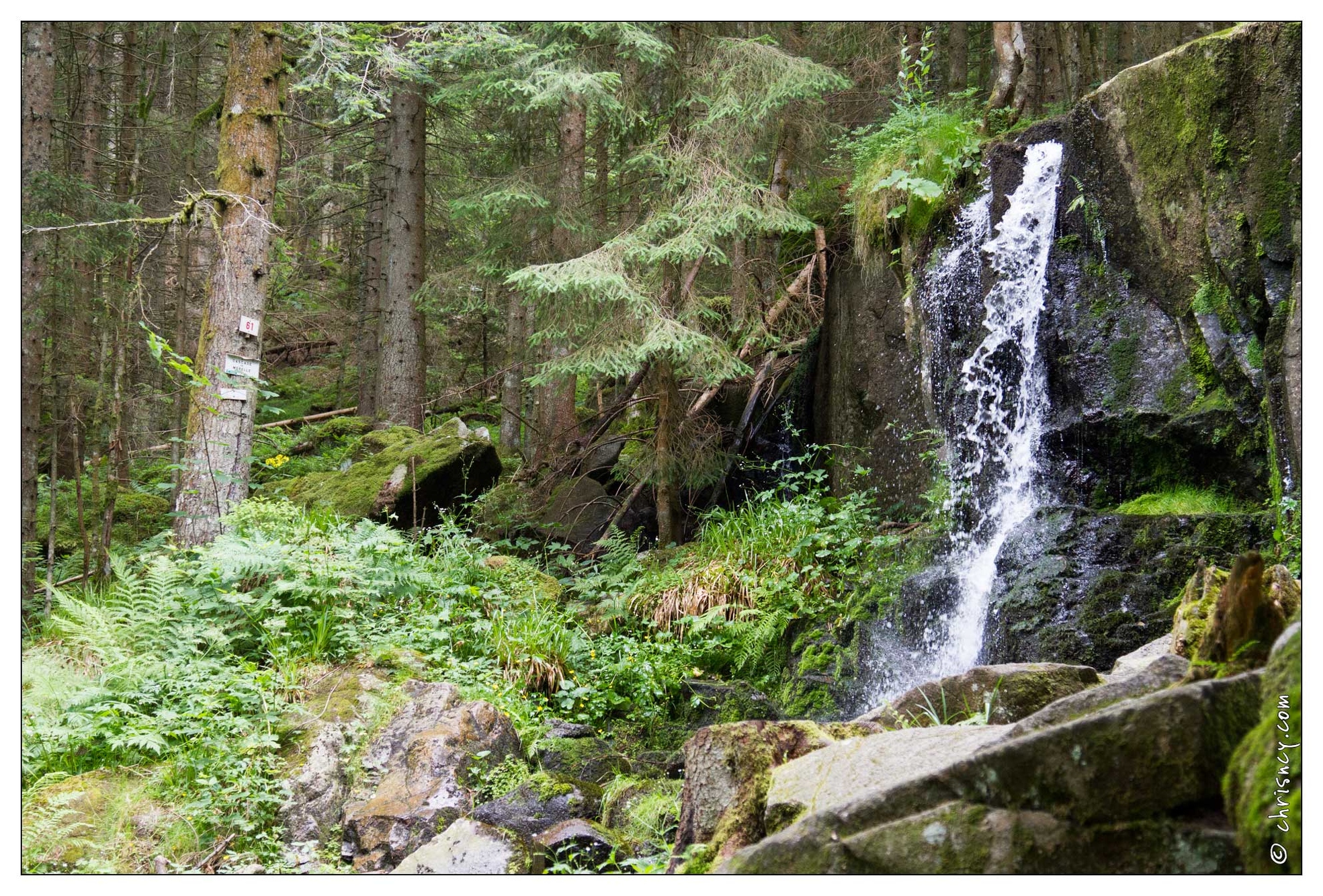 20100704-04_4923-Cascade_de_Merelle.jpg