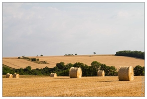 20100714-12 5001-Campagne lorraine