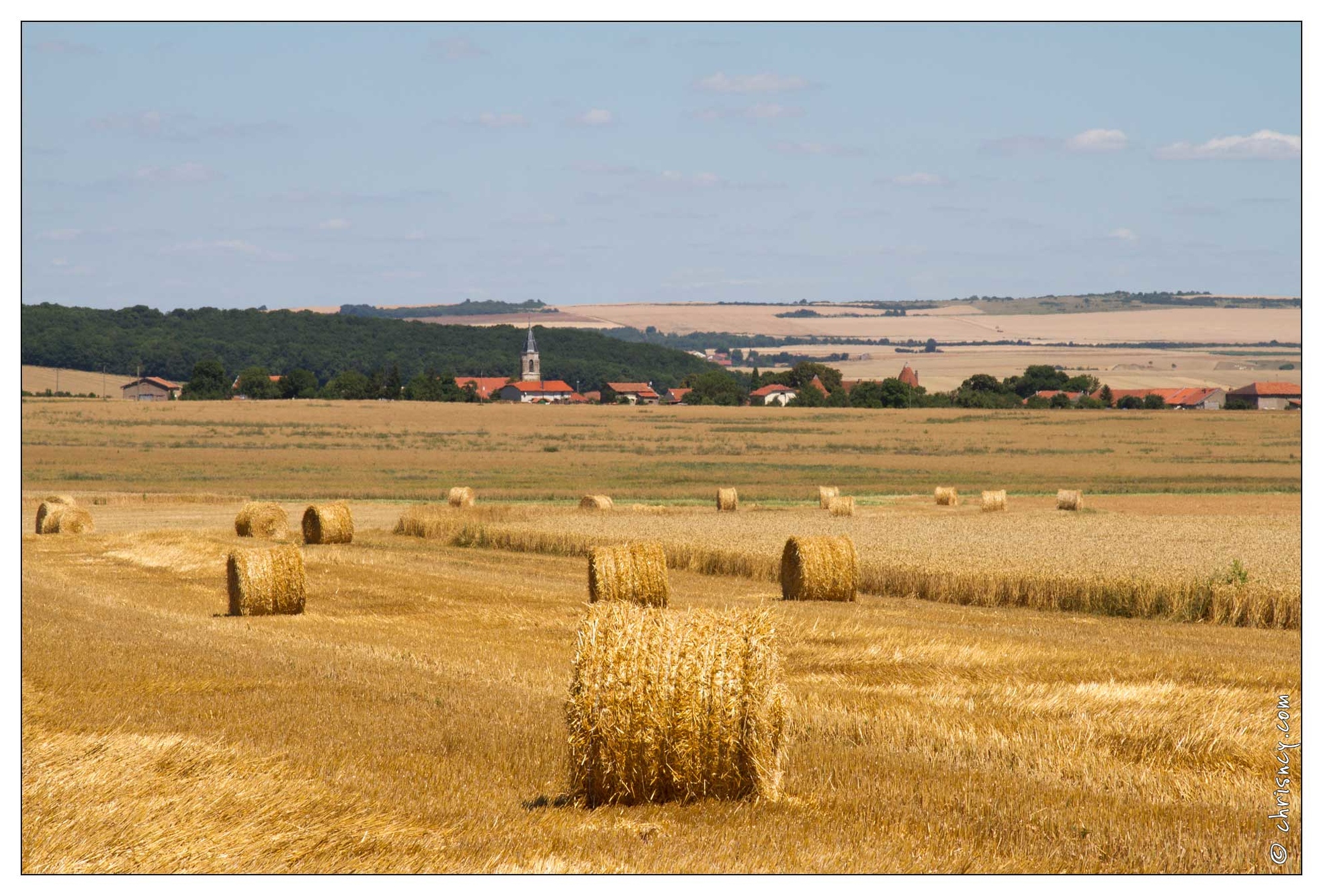 20100718-5203-Campagne_lorraine.jpg