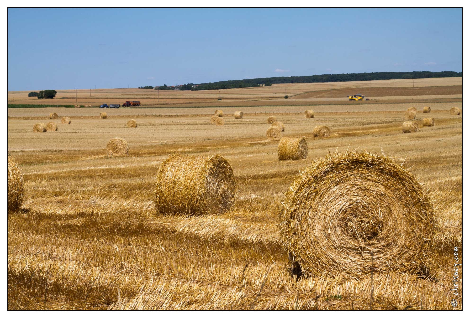 20100718-5206-Campagne_lorraine.jpg