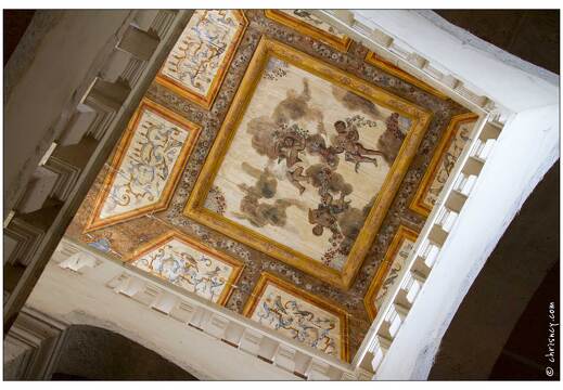 20100814-08 6685-Ambronay