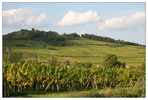 Haut Koenigsbourg