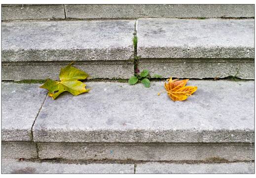20101023-0145-escalier