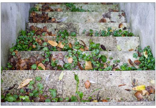20101023-0199-escalier