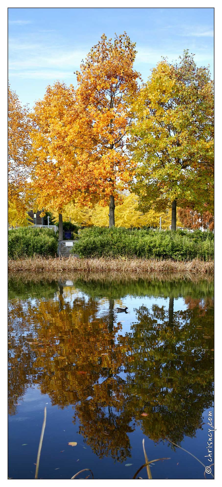 20101031-0573-Jardin_d_eau_pano.jpg