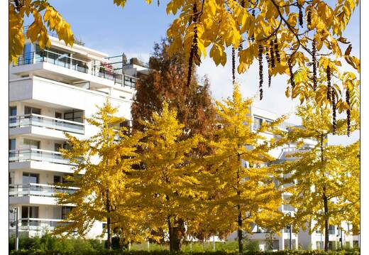 20101031-0547-Jardin d eau