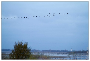 20101119-1074-Lac du der