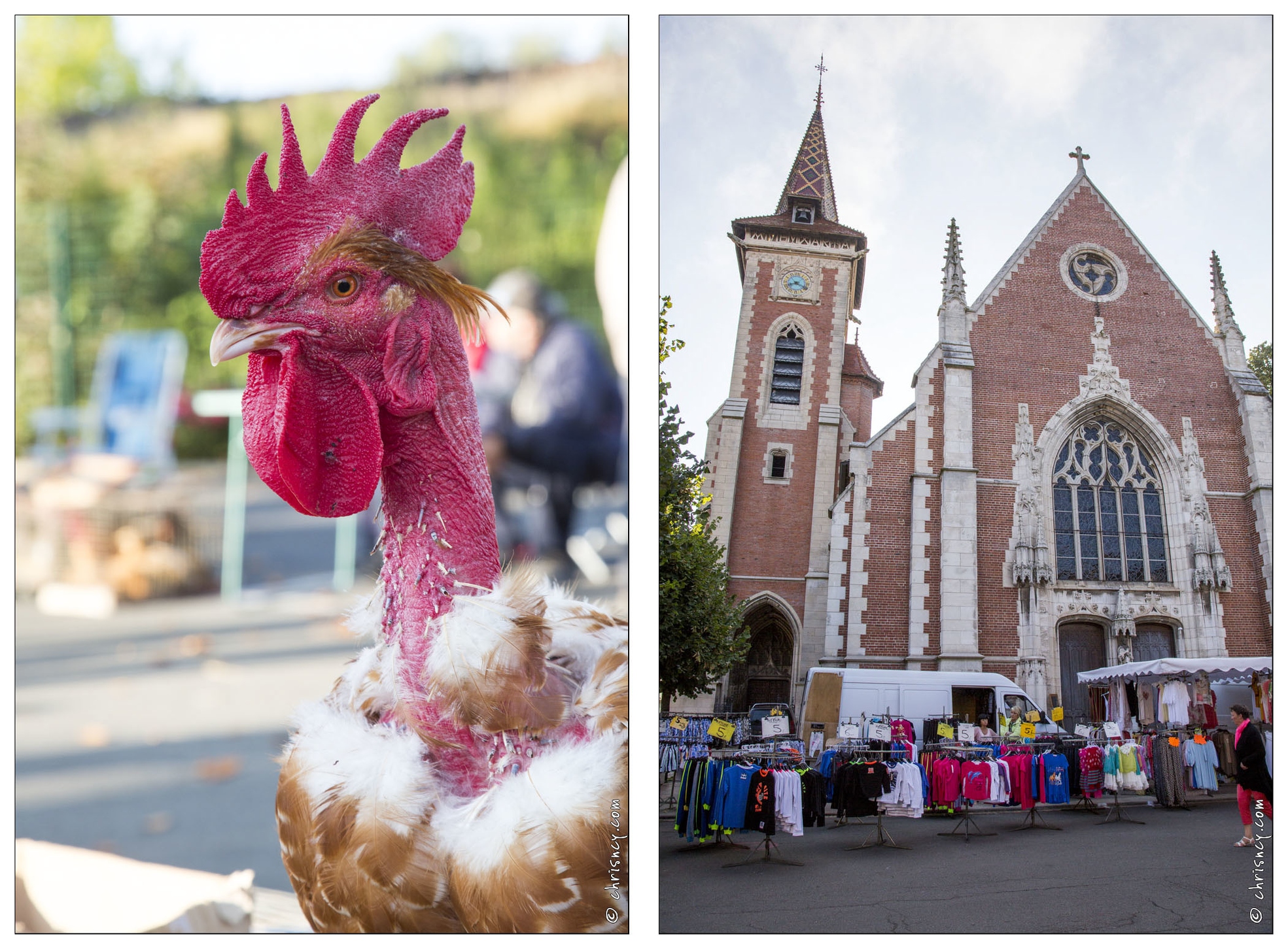 20140901-018_5909-Louhans_marche_volailles_2.jpg