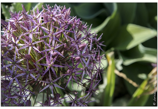 20070513-18 1182-Haroue