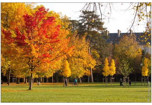 20111101-7987-Automne pepiniere nancy